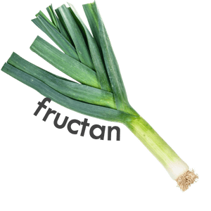 leek