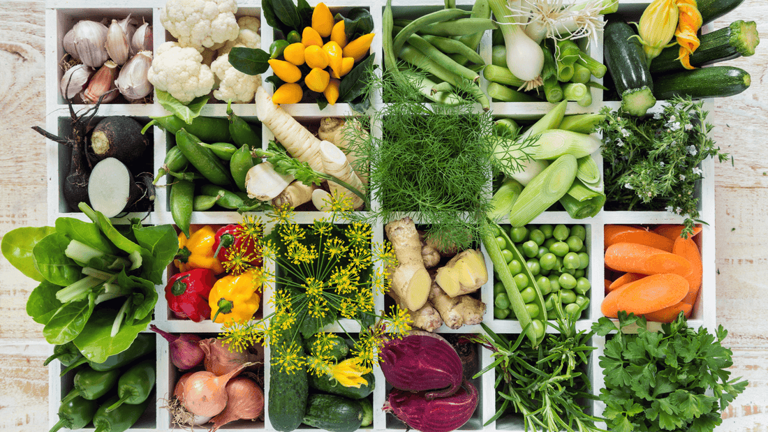 A Guide to the Best Food Sensitivity Tests - FODZYME