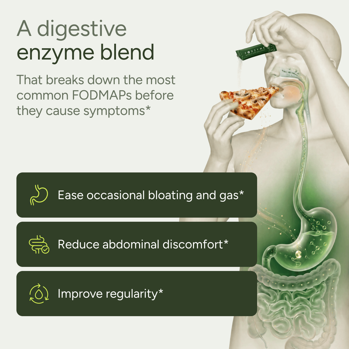 Promotional graphic for a digestive enzyme blend. The left side features dark green text blocks detailing benefits: easing bloating and gas*, reducing abdominal discomfort*, and improving regularity*.
