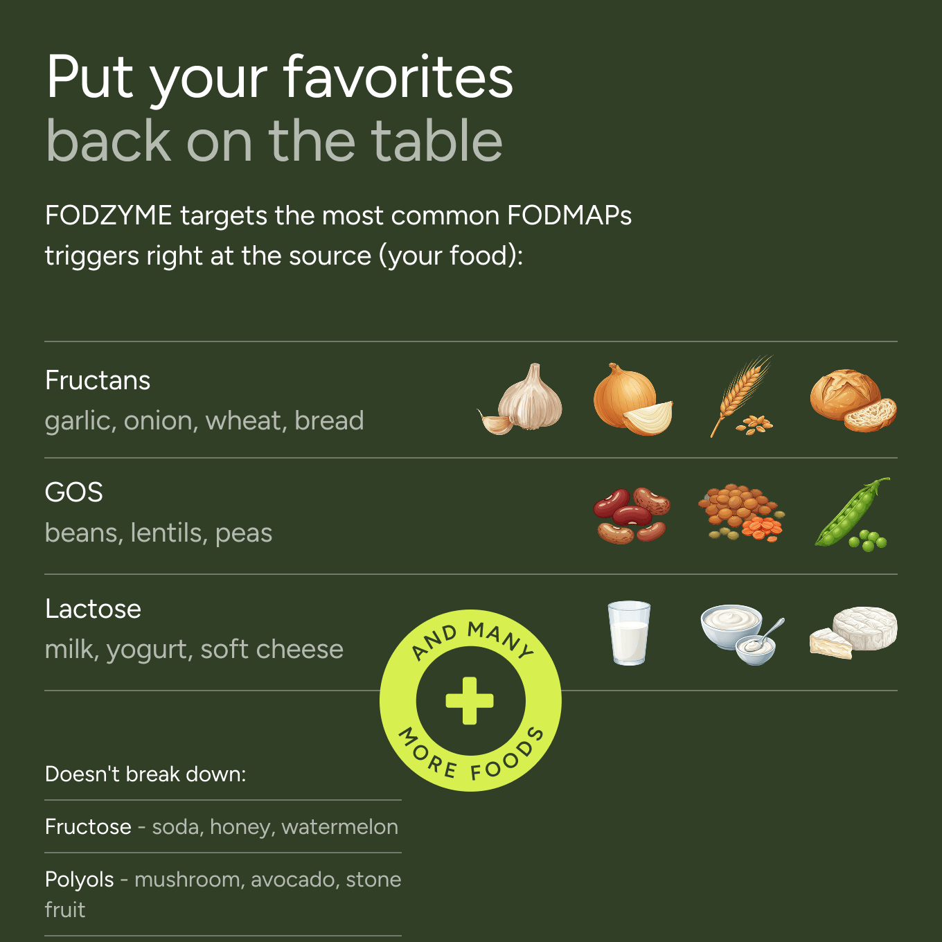 An informational graphic on a dark green background titled 'Put your favorites back on the table' by FODZYME, listing food groups and ingredients that trigger FODMAPs: Fructans (garlic, onion, wheat, bread), GOS (beans, lentils, peas), and Lactose (milk, yogurt, soft cheese), with a circular badge reading 'AND MANY MORE FOODS'.