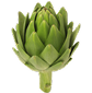<p>Artichoke</p>